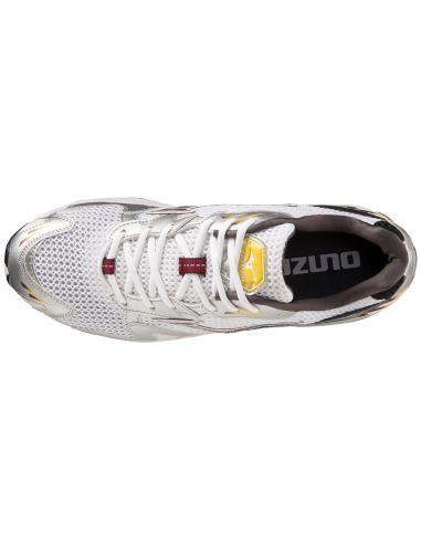 Sneakers Homme Mizuno Wave Rider 10