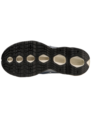 Sneakers Homme Mizuno Wave Prophecy Beta Gris/Blanc