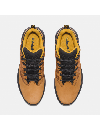 Chaussure Homme euro trrekker low marron/noir/blanc