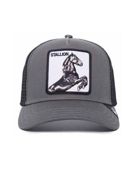 casquette stallion