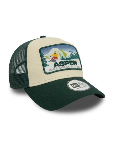 Casquette ski patch trucker newera dkgofw