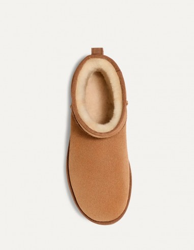 Bottines UGG Classic Mini Homme Chestnut - Hylton.fr