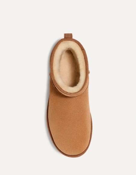 Bottines UGG Classic Mini Homme Chestnut - Hylton.fr