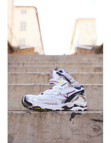 Sneakers Homme Mizuno Wave Rider 10