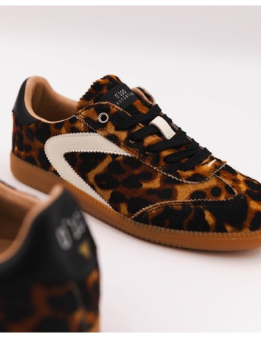 Baskets Nova Leo - Baskets suède léopard avec semelle en caoutchouc beige