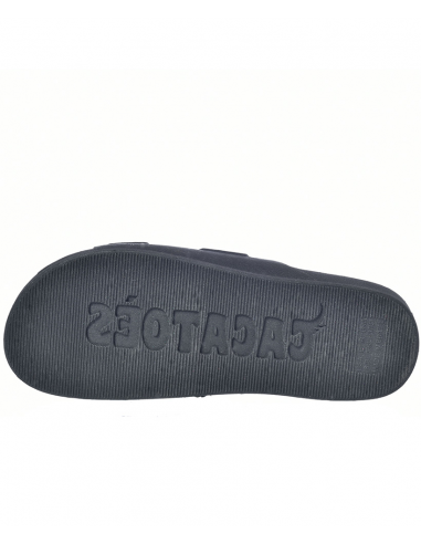 Claquettes - Cacatoes - Florianopolis