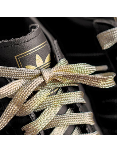 Lacets - Mr Lacy - Flatties Gold